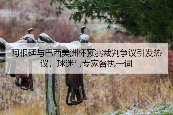 阿根廷与巴西美洲杯预赛裁判争议引发热议，球迷与专家各执一词