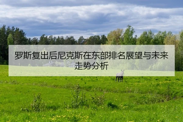 luo-si-fu-chu-hou-ni-ke-si-zai-dong-bu-pai-ming-zhan-wang-yu-wei-lai-zou-shi-fen-xi-2-465.jpg