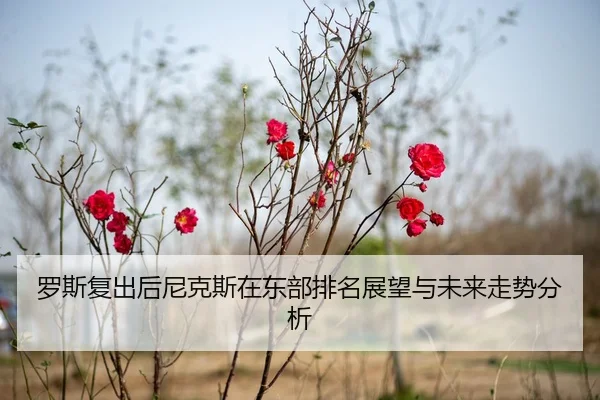 luo-si-fu-chu-hou-ni-ke-si-zai-dong-bu-pai-ming-zhan-wang-yu-wei-lai-zou-shi-fen-xi-1-487.jpg